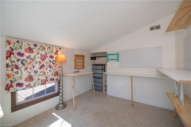 interior space with light colored carpet and a textured ceiling