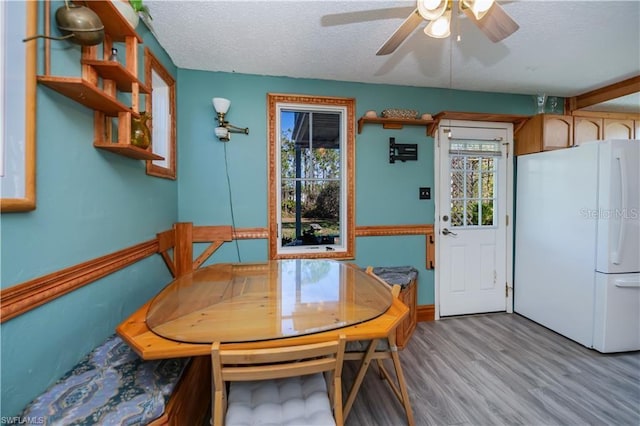 dining room with ceiling fan, a textured ceiling, and light wood-type flooring