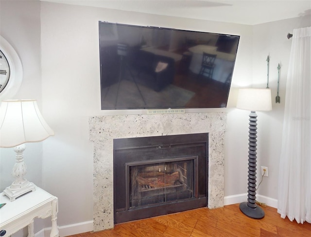 details featuring hardwood / wood-style floors and a fireplace