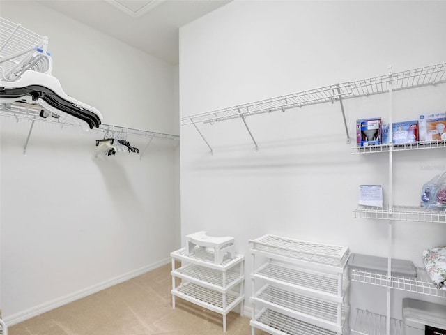 walk in closet featuring carpet floors