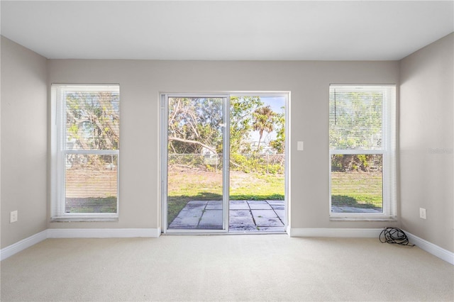 entryway featuring carpet flooring