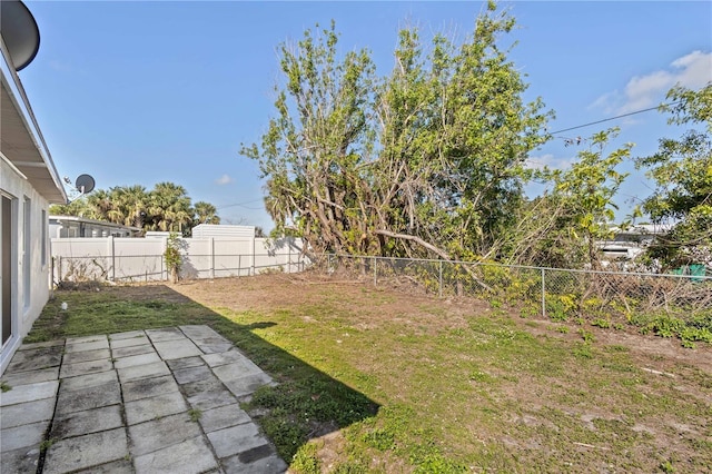 view of yard featuring a patio area