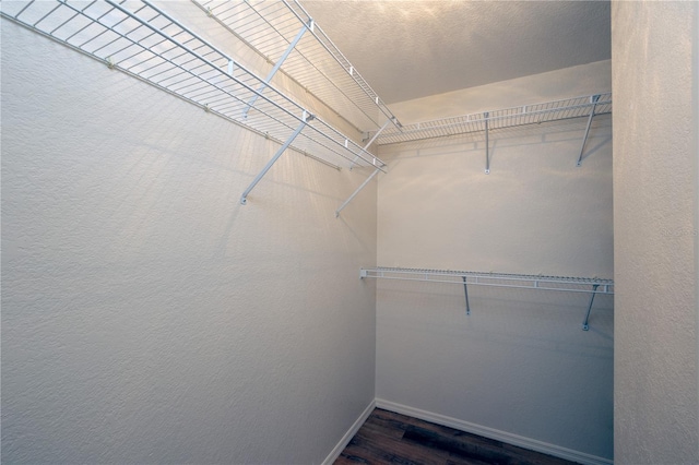 walk in closet featuring wood-type flooring