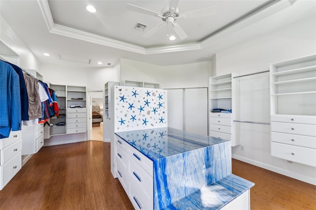 spacious closet with a raised ceiling, ceiling fan, and dark hardwood / wood-style flooring