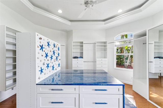 kitchen with ornamental molding, a tray ceiling, hardwood / wood-style floors, and white cabinets