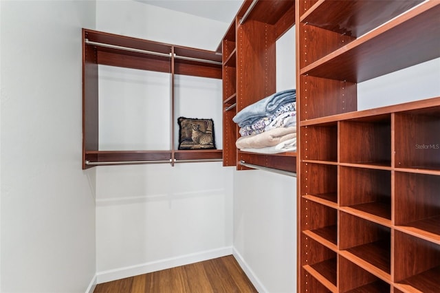 spacious closet with hardwood / wood-style flooring