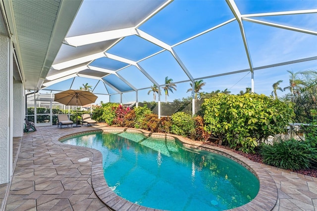 view of swimming pool featuring a patio and glass enclosure