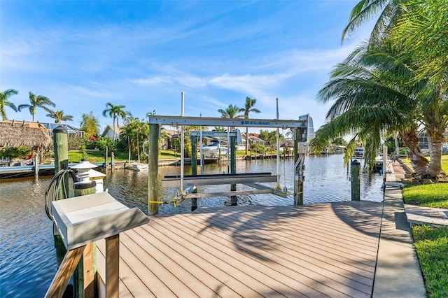 dock area with a water view