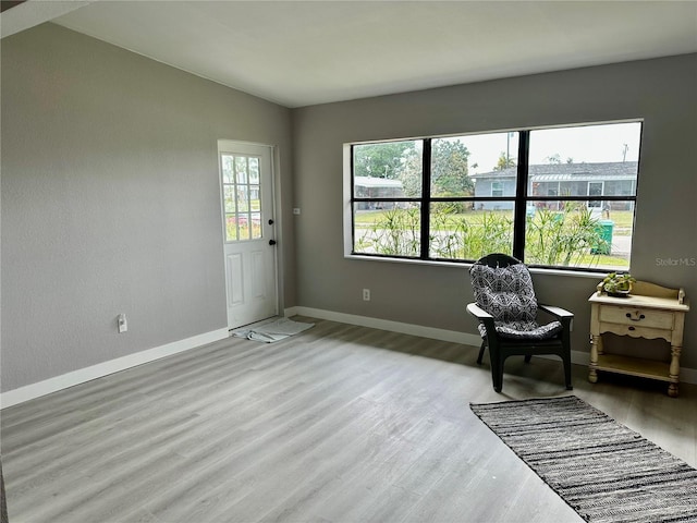 living area featuring light hardwood / wood-style flooring