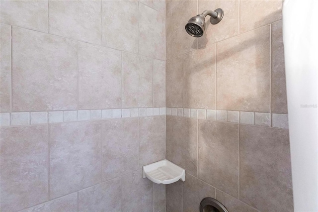 details with tiled shower