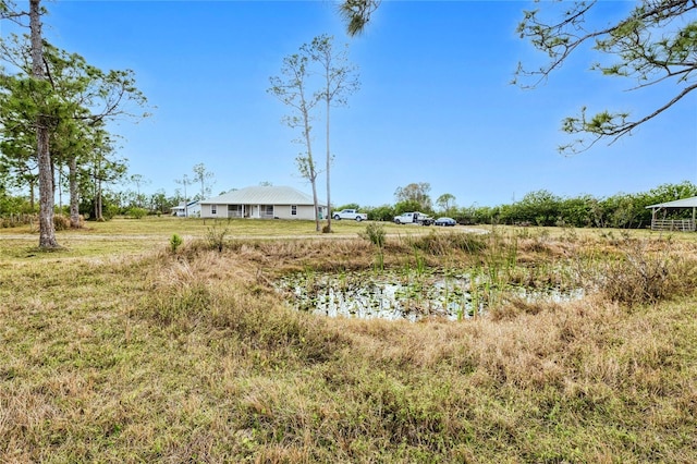 view of yard featuring a rural view