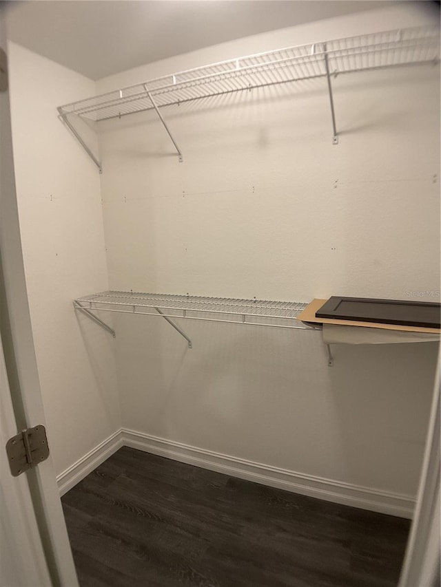 spacious closet featuring dark hardwood / wood-style flooring