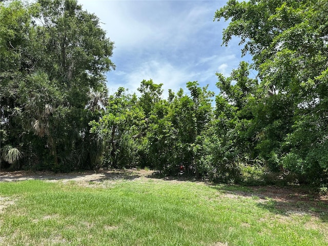 432 Olivia Rd, Venice, FL 34293 - view of green lawn