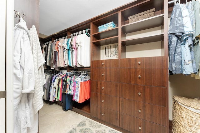 view of spacious closet