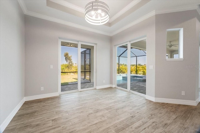 spare room featuring a tray ceiling, light hardwood / wood-style flooring, and a wealth of natural light