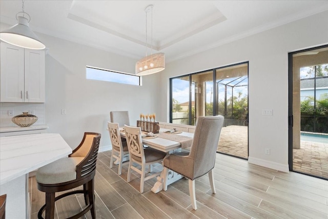 dining room featuring a raised ceiling