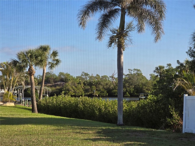 view of community featuring a lawn