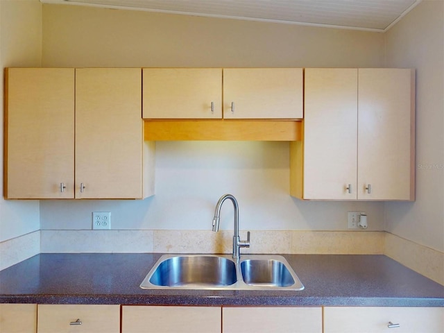 21456 Holdern Ave, Port Charlotte, FL 33952 - kitchen featuring sink