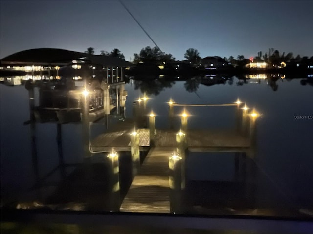 water view featuring a boat dock