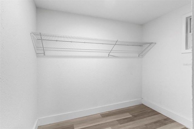 walk in closet featuring hardwood / wood-style flooring