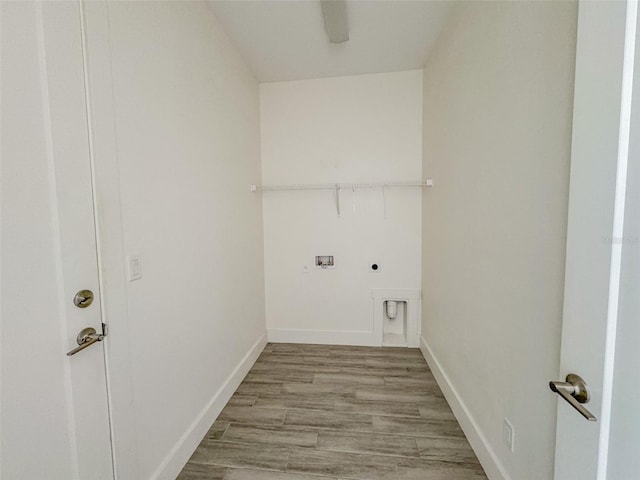 clothes washing area featuring ceiling fan, washer hookup, light hardwood / wood-style floors, and electric dryer hookup