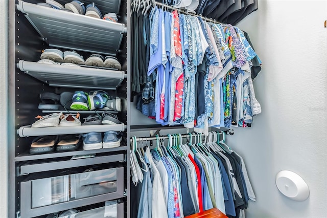 view of walk in closet