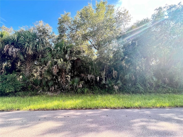 14463 Black Ave, Port Charlotte FL, 33953 land for sale