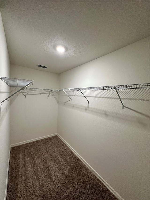 walk in closet with carpet floors and visible vents