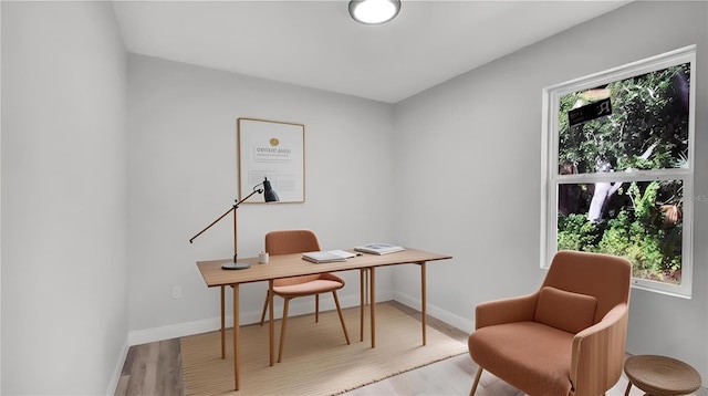 home office featuring light hardwood / wood-style flooring