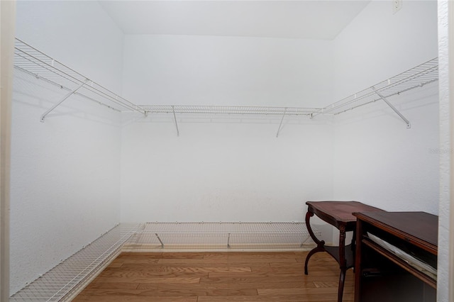 spacious closet with wood-type flooring