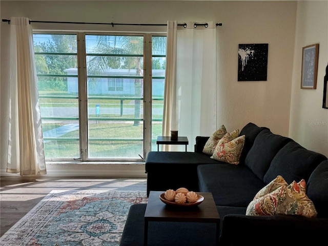 living room featuring hardwood / wood-style flooring