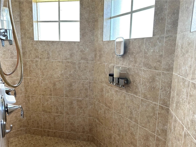 bathroom featuring a shower stall