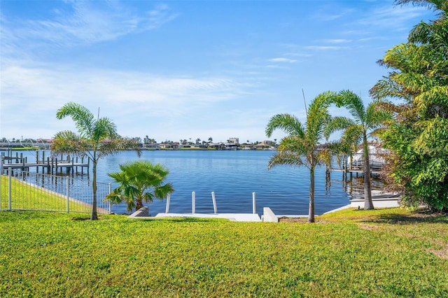 water view featuring a boat dock