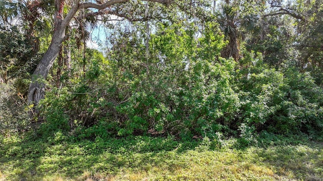 125 Bonita Dr, Rotonda West FL, 33947 land for sale