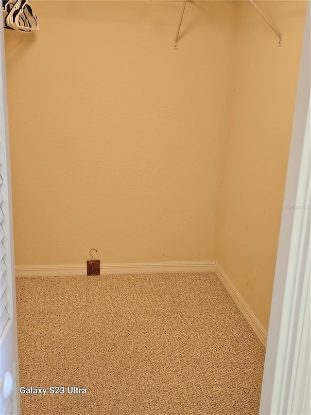 spacious closet with carpet flooring