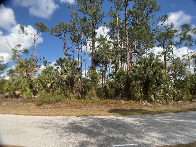 18126 Dillon Ave, Port Charlotte FL, 33954 land for sale