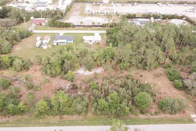 11369 1st Ave, Punta Gorda, FL 33955 - drone / aerial view
