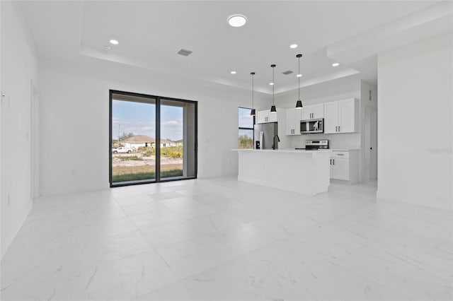 kitchen with white cabinets, hanging light fixtures, a center island, a tray ceiling, and stainless steel appliances