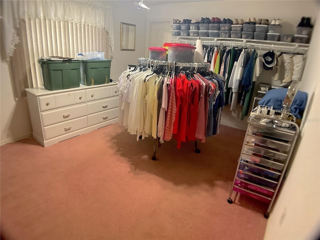 spacious closet featuring carpet flooring