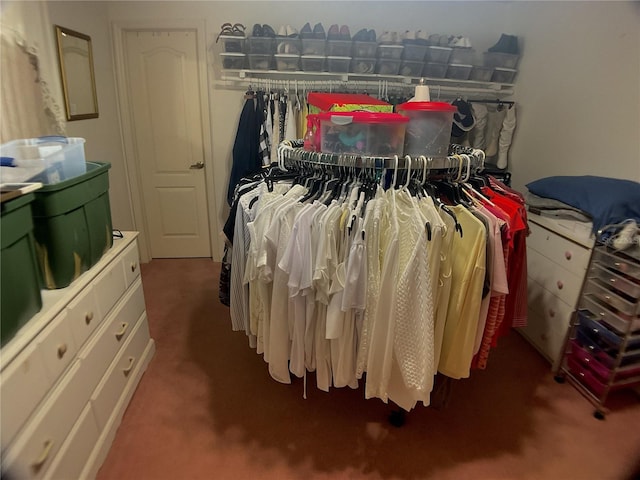 spacious closet with carpet flooring