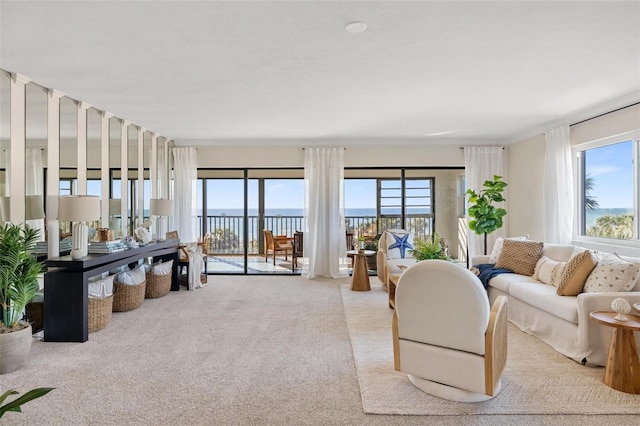 carpeted living room with a water view