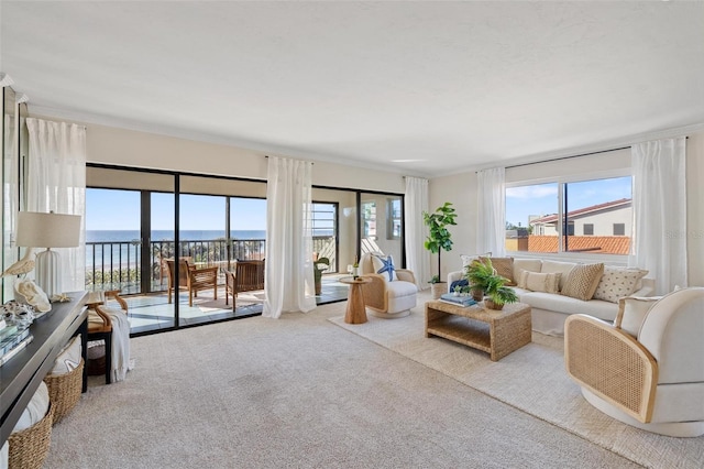 carpeted living room featuring a water view and plenty of natural light