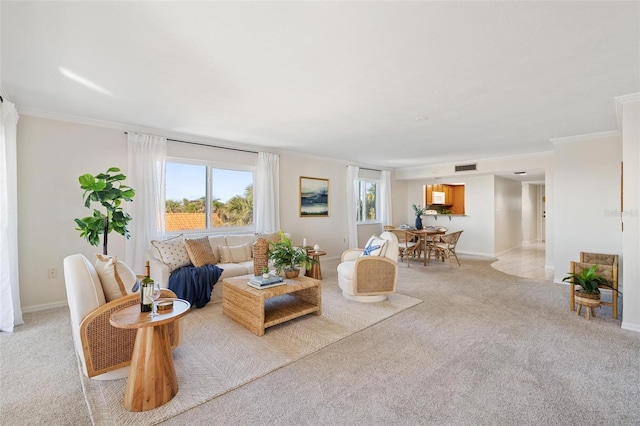 carpeted living room featuring crown molding