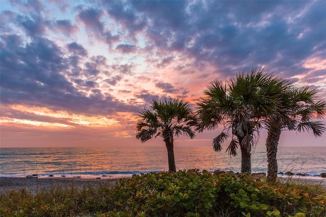 nature at dusk featuring a water view