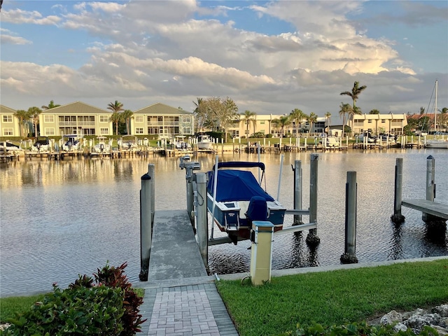 dock area with a water view