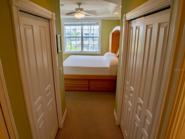 carpeted bedroom featuring crown molding and a tray ceiling