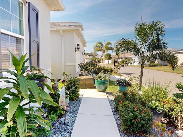 24313 Westgate Blvd, Punta Gorda, FL 33980 - view of surrounding community