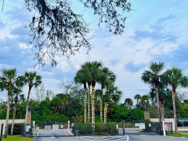 view of road featuring curbs, a gated entry, and a gate