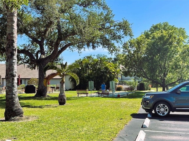 view of community with a yard