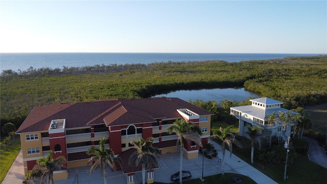 aerial view with a water view
